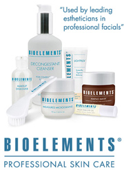 bioelements professional skin care